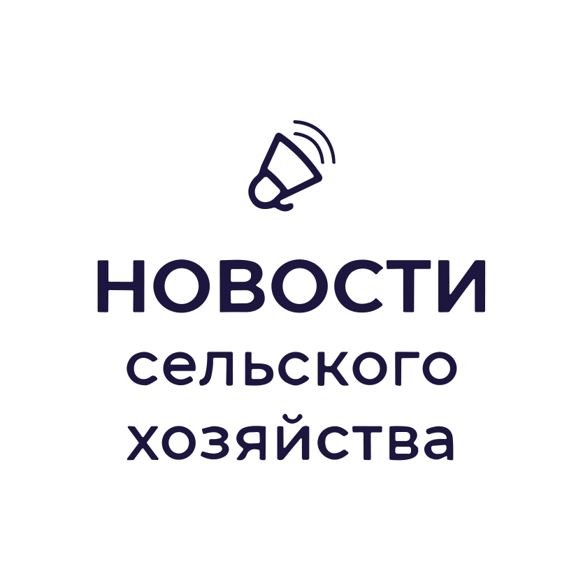 Портал Sectormedia.ru (Сектор медиа)