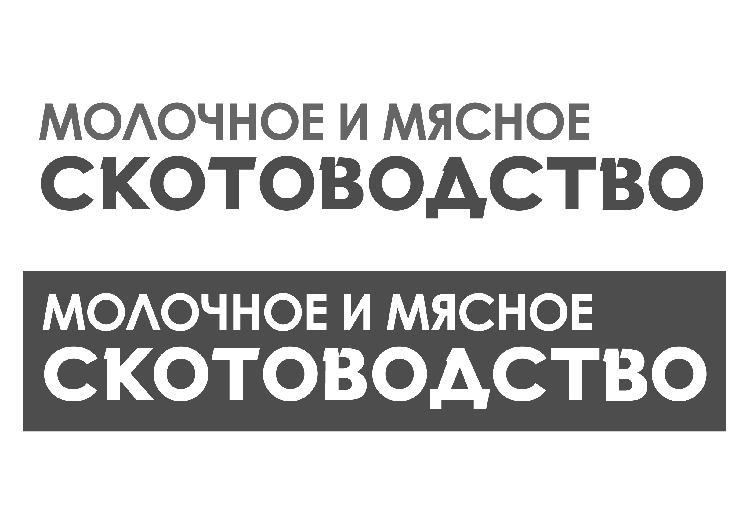 Журнал “Молочное и мясное скотоводство”